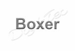 reprogramar centralita Peugeot Boxer