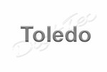 reprogramar centralita de un seat Toledo 