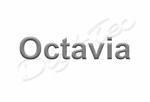 reprogramar centralita skoda Octavia