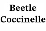 reprogramar centralita volkswagen Beetle Coccinelle